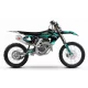 Kit adesivos moto KIT ADESIVOS MOTOCROSS TRIUMPH VECTOR