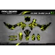 Motorcycle graphics graphics Motocross FLUO PERSO ALPINESTARS