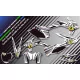 STICKERSET motor Stickerset QUAD no fear WIT (REF:PRDA5F)