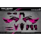 Kit de adhesivos moto Kit adhesivos TC-FC-TE-FE... HUSQVARNA | ORIGINAL PINK