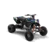 Motorrad-Dekor DEKOR QUAD KAWASAKI DUKATI