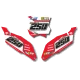 Kit adhesivos moto Kit adhesivos FONDO DE PLACAS BETA PITTAR