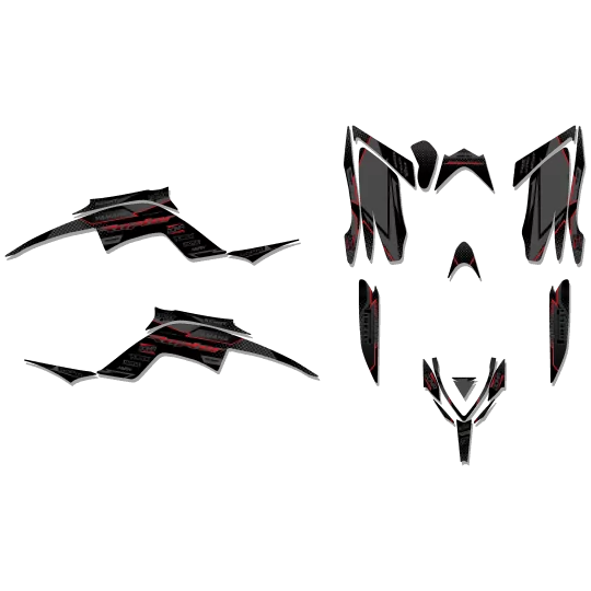 Grafiche moto Grafiche RAPTOR 700